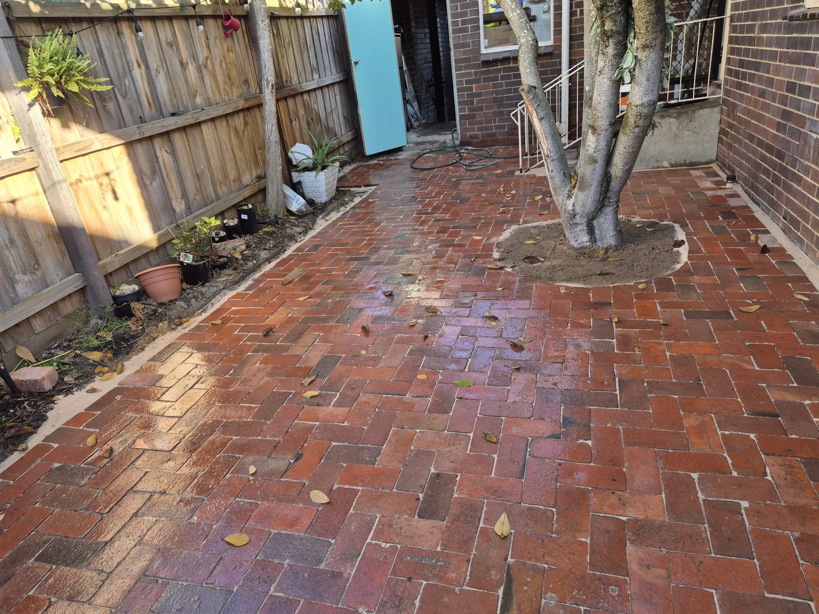 Recycled red brick courtyard with a tree surround and garden beds in Melbourne